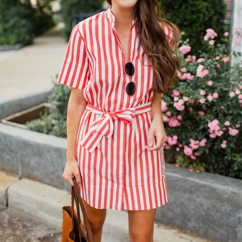 Everlane Striped Collarless Shirt Dress